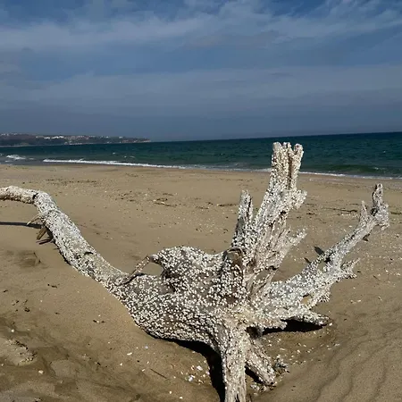 Peaceful Seascape, 50m To The Apartmán *